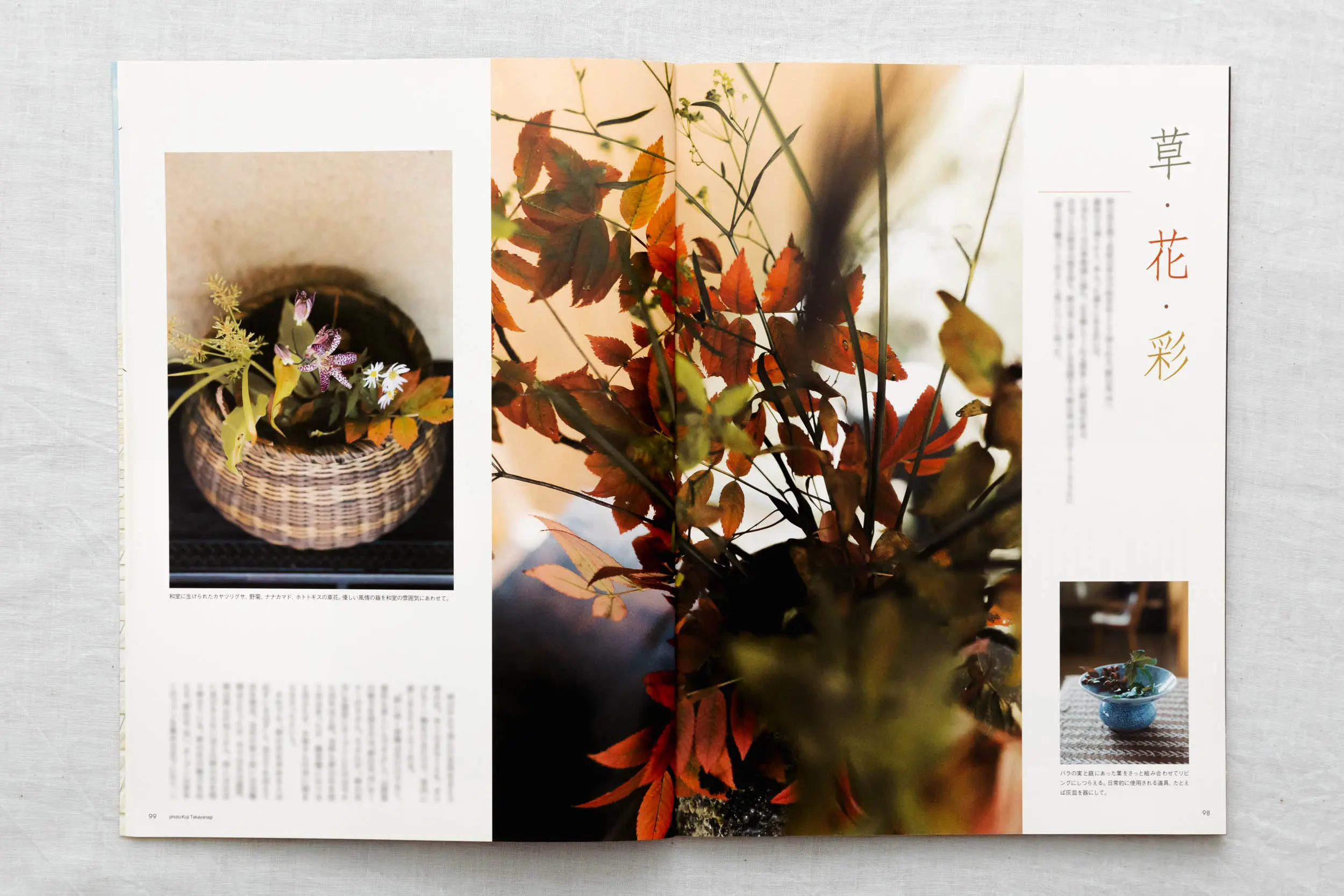 雑誌「すみごこち」Vol.2 秋の野の花と和室のしつらえ。自然光を活かした植物・インテリア撮影