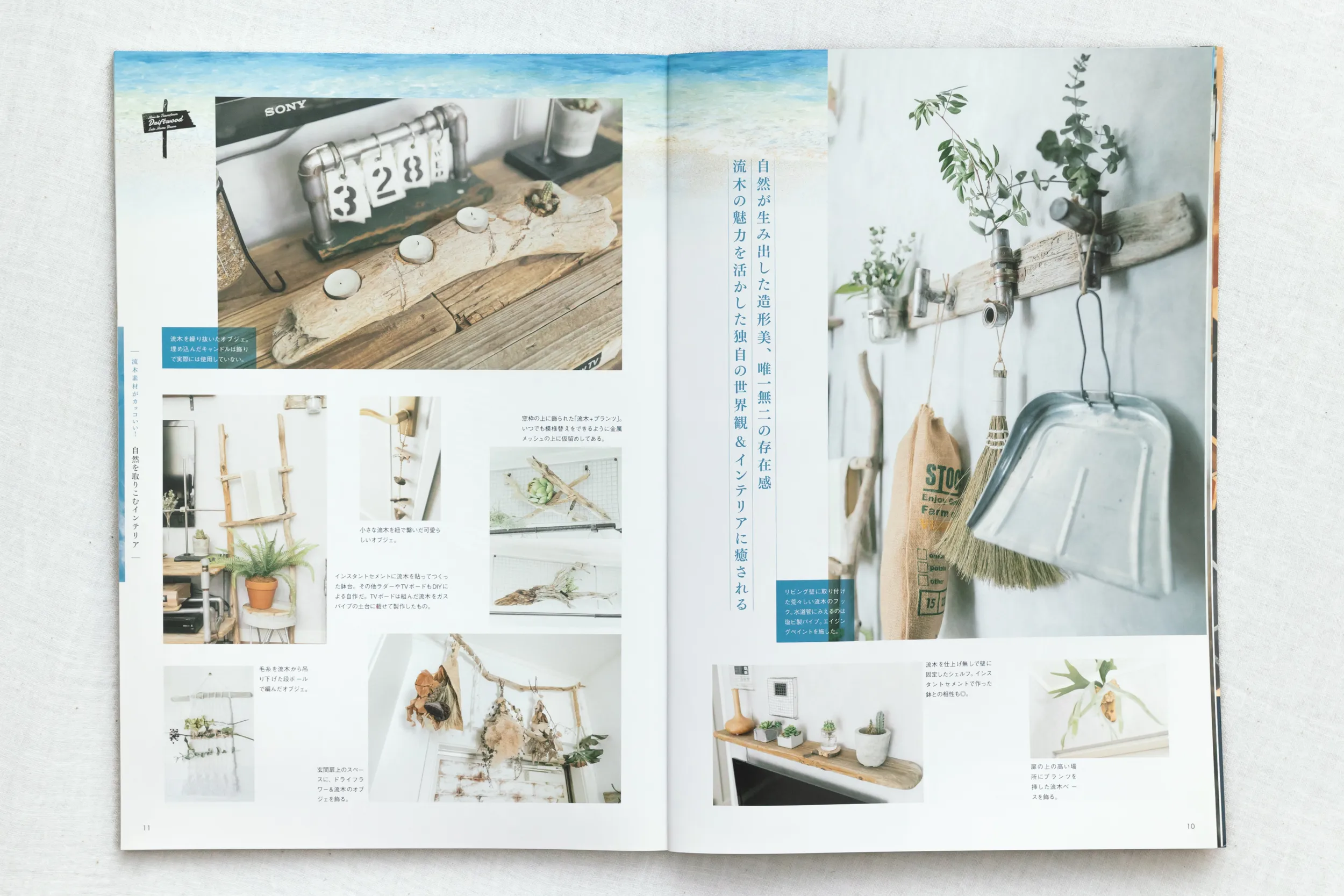雑誌「すみごこち」Vol.9 流木を活用した壁面ディスプレイとインテリア実例。ドライフラワーやグリーンを合わせた空間・ディテール撮影